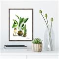 Picture of House Plants I  _GroupedProduct_Rectangle_Portrait_Canvas_Framed_
