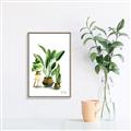 Picture of House Plants I  _GroupedProduct_Rectangle_Portrait_Canvas_Framed_