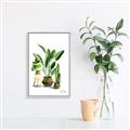 Picture of House Plants I  _GroupedProduct_Rectangle_Portrait_Canvas_Framed_