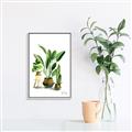 Picture of House Plants I  _GroupedProduct_Rectangle_Portrait_Canvas_Framed_