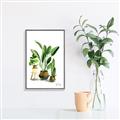 Picture of House Plants I  _GroupedProduct_Rectangle_Portrait_Canvas_Framed_