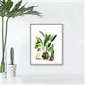 Picture of House Plants I  _GroupedProduct_Rectangle_Portrait_Canvas_Framed_