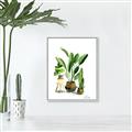Picture of House Plants I  _GroupedProduct_Rectangle_Portrait_Canvas_Framed_