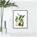 Picture of House Plants I  _GroupedProduct_Rectangle_Portrait_Canvas_Framed_