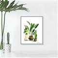 Picture of House Plants I  _GroupedProduct_Rectangle_Portrait_Canvas_Framed_