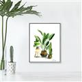 Picture of House Plants I  _GroupedProduct_Rectangle_Portrait_Canvas_Framed_