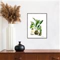 Picture of House Plants I  _GroupedProduct_Rectangle_Portrait_Canvas_Framed_