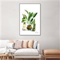 Picture of House Plants I  _GroupedProduct_Rectangle_Portrait_Canvas_Framed_
