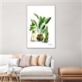 Picture of House Plants I  _GroupedProduct_Rectangle_Portrait_Canvas_Framed_