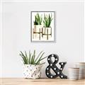 Picture of House Plants II  _GroupedProduct_Rectangle_Portrait_Canvas_Framed_