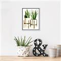 Picture of House Plants II  _GroupedProduct_Rectangle_Portrait_Canvas_Framed_