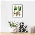 Picture of House Plants II  _GroupedProduct_Rectangle_Portrait_Canvas_Framed_