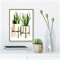Picture of House Plants II  _GroupedProduct_Rectangle_Portrait_Canvas_Framed_