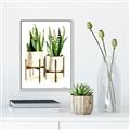Picture of House Plants II  _GroupedProduct_Rectangle_Portrait_Canvas_Framed_