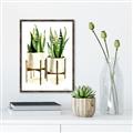 Picture of House Plants II  _GroupedProduct_Rectangle_Portrait_Canvas_Framed_