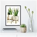 Picture of House Plants II  _GroupedProduct_Rectangle_Portrait_Canvas_Framed_