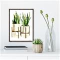 Picture of House Plants II  _GroupedProduct_Rectangle_Portrait_Canvas_Framed_