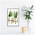 Picture of House Plants II  _GroupedProduct_Rectangle_Portrait_Canvas_Framed_