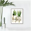 Picture of House Plants II  _GroupedProduct_Rectangle_Portrait_Canvas_Framed_