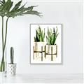 Picture of House Plants II  _GroupedProduct_Rectangle_Portrait_Canvas_Framed_