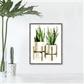 Picture of House Plants II  _GroupedProduct_Rectangle_Portrait_Canvas_Framed_