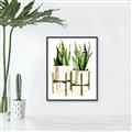 Picture of House Plants II  _GroupedProduct_Rectangle_Portrait_Canvas_Framed_