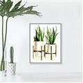 Picture of House Plants II  _GroupedProduct_Rectangle_Portrait_Canvas_Framed_