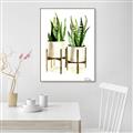 Picture of House Plants II  _GroupedProduct_Rectangle_Portrait_Canvas_Framed_