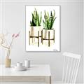 Picture of House Plants II  _GroupedProduct_Rectangle_Portrait_Canvas_Framed_