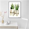 Picture of House Plants II  _GroupedProduct_Rectangle_Portrait_Canvas_Framed_