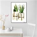 Picture of House Plants II  _GroupedProduct_Rectangle_Portrait_Canvas_Framed_