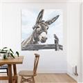 Picture of Donkey time _GroupedProduct_Square_Unframed_Print_Only_