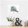 Picture of Succulent Group _GroupedProduct_Rectangle_Landscape_Unframed_Print_Only_