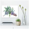 Picture of Succulent Group _GroupedProduct_Rectangle_Landscape_Unframed_Print_Only_