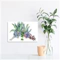 Picture of Succulent Group _GroupedProduct_Rectangle_Landscape_Unframed_Print_Only_