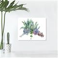 Picture of Succulent Group _GroupedProduct_Rectangle_Landscape_Unframed_Print_Only_