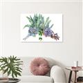 Picture of Succulent Group _GroupedProduct_Rectangle_Landscape_Unframed_Print_Only_