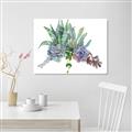 Picture of Succulent Group _GroupedProduct_Rectangle_Landscape_Unframed_Print_Only_