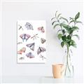 Picture of All around buggy I  _GroupedProduct_Rectangle_Portrait_Unframed_Print_Only_