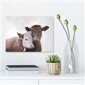 Picture of Cow buddies _GroupedProduct_Rectangle_Landscape_Unframed_Print_Only_