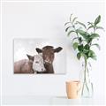 Picture of Cow buddies _GroupedProduct_Rectangle_Landscape_Unframed_Print_Only_