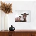 Picture of Cow buddies _GroupedProduct_Rectangle_Landscape_Unframed_Print_Only_