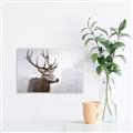 Picture of Reindeer _GroupedProduct_Rectangle_Landscape_Unframed_Print_Only_