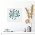 Picture of Teal Coral II  _GroupedProduct_Square_Unframed_Print_Only_