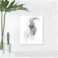 Picture of Ram Charcoal _GroupedProduct_Rectangle_Portrait_Unframed_Print_Only_
