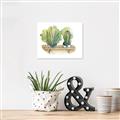 Picture of Splashed Cactus I  _GroupedProduct_Rectangle_Landscape_Unframed_Print_Only_