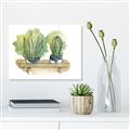 Picture of Splashed Cactus I  _GroupedProduct_Rectangle_Landscape_Unframed_Print_Only_