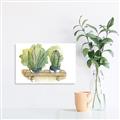 Picture of Splashed Cactus I  _GroupedProduct_Rectangle_Landscape_Unframed_Print_Only_