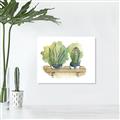 Picture of Splashed Cactus I  _GroupedProduct_Rectangle_Landscape_Unframed_Print_Only_