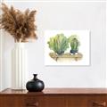 Picture of Splashed Cactus I  _GroupedProduct_Rectangle_Landscape_Unframed_Print_Only_